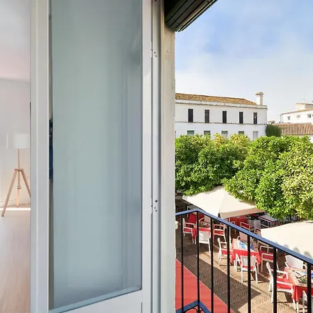 Prázdninový dům Orange Square Rooftop 250 M2 Marbella
